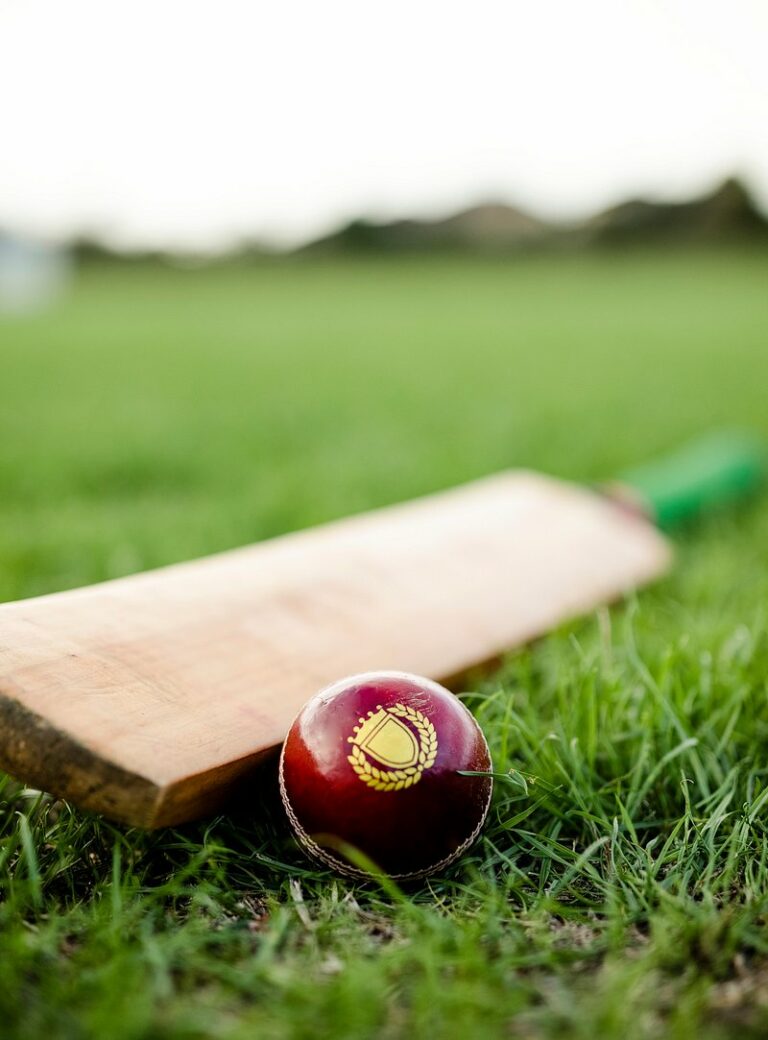 Exploring the integration of cryptocurrency in cricket betting