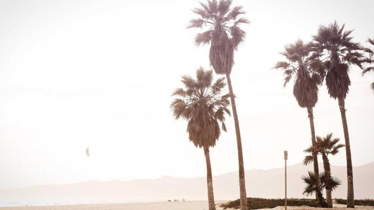 What Are The Steps For Cricbet99 App Download Kaise Kare In English?